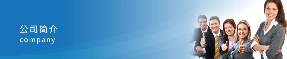 _t2-271521787-2a8s110607091326_mergeid_960_200.png.jpg